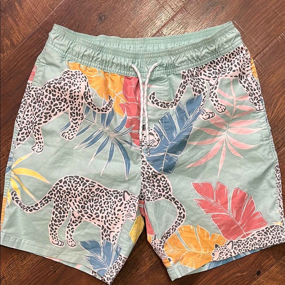 Original Use Men's Swim Trunks - Mint Green
